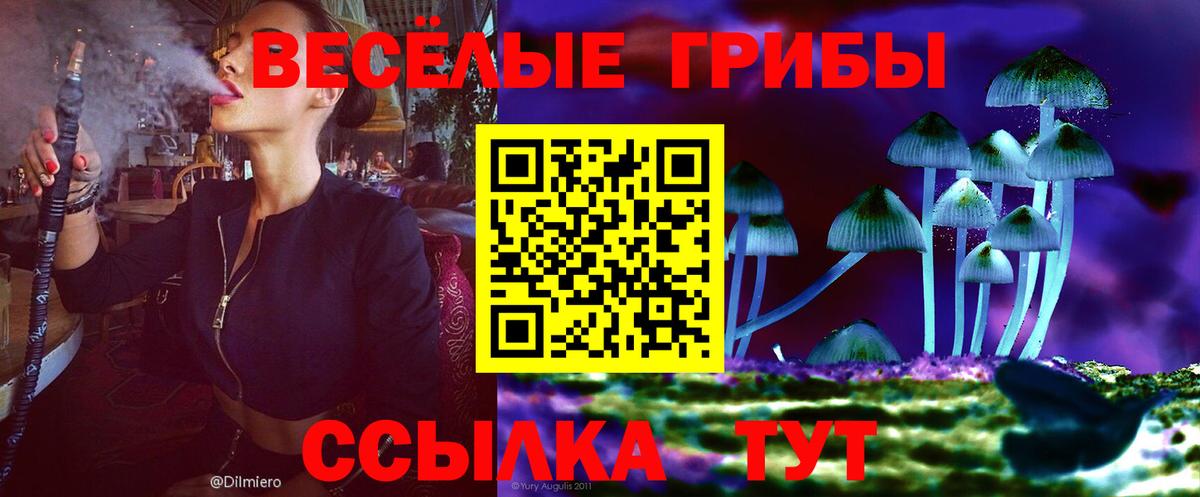 Галлюциногенные грибы GOLDEN TEACHER Ухта